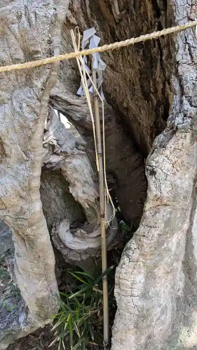 天神社(大分県)