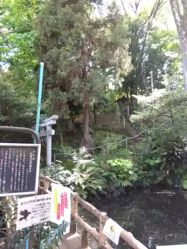 杵築大社(東京都)