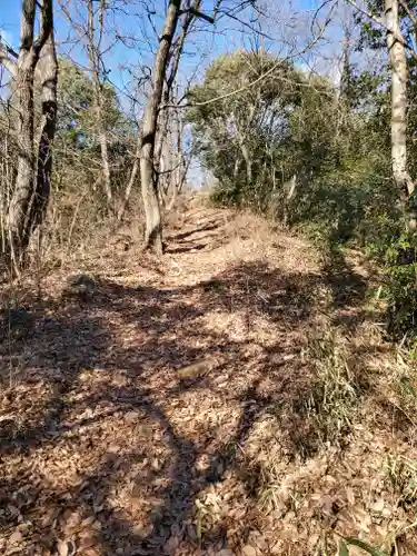 雷電神社 奥の院（助戸東山町）(栃木県)