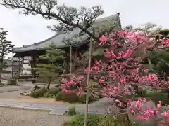 浄信寺の自然