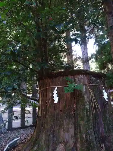 国造神社(熊本県)