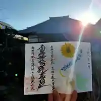 菊の押し花の御首題
