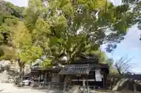 祇園神社の自然