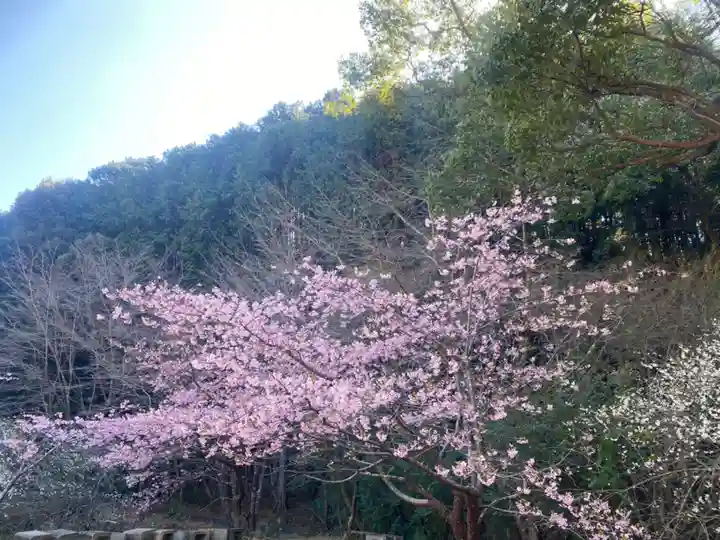 長楽寺(静岡県)