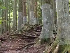 三峯神社奥宮の周辺