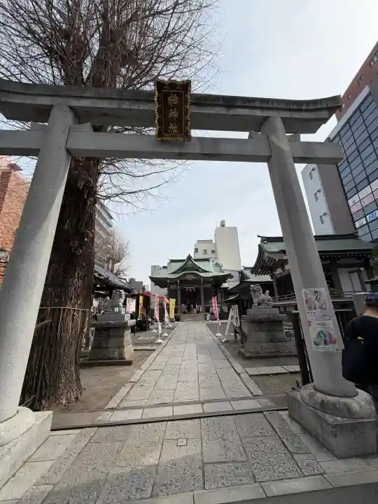 柏神社の{uncategorized: "未分類", other: "その他", undefined: "問題あり", building: "その他建物", grave: "お墓", sacred_gate: "鳥居", guardian: "狛犬", statue: "像", buddha: "仏像", history: "歴史", nature: "自然", garden: "庭園", animal: "動物", pagoda: "塔", temizu: "手水舎", mountain_gate: "山門・神門", sanctuary: "本殿・本堂", subordinate: "末社・摂社", art: "芸術", scenery: "景色", jizo: "地蔵", ema: "絵馬", goshuin: "御朱印", omikuji: "おみくじ", items: "授与品その他", amulet: "お守り", goshuincho: "御朱印帳", eats: "食事", festival: "お祭り", votive_dance: "神楽", shichigosan: "七五三参", wedding: "結婚式", experience: "体験その他", initially: "初詣", around: "周辺", anti_infection: "感染症対策"}