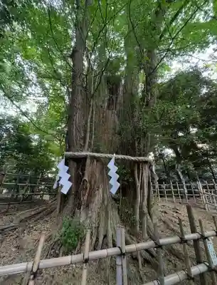 大國魂神社(東京都)