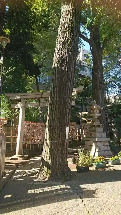 高円寺氷川神社のその他建物