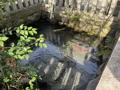 日吉神社(岐阜県)