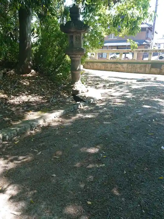尾張大國霊神社(国府宮)の動物