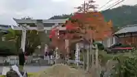 鍬山神社(京都府)