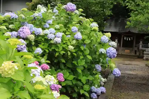 開成山大神宮の庭園