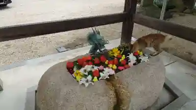 神館神社の手水舎