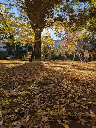 赤坂氷川神社(東京都)