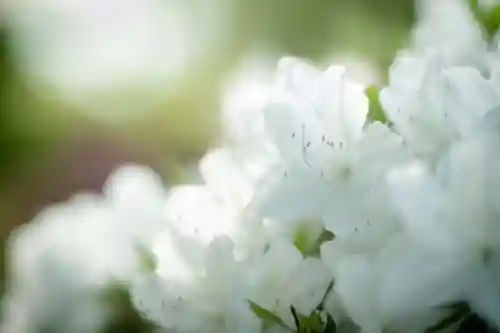 長谷寺(長野県)