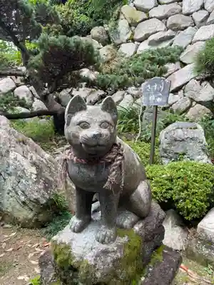 お松大権現(徳島県)