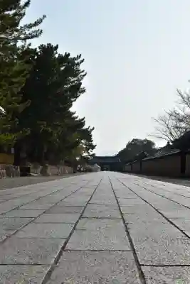 法隆寺の{uncategorized: "未分類", other: "その他", undefined: "問題あり", building: "その他建物", grave: "お墓", sacred_gate: "鳥居", guardian: "狛犬", statue: "像", buddha: "仏像", history: "歴史", nature: "自然", garden: "庭園", animal: "動物", pagoda: "塔", temizu: "手水舎", mountain_gate: "山門・神門", sanctuary: "本殿・本堂", subordinate: "末社・摂社", art: "芸術", scenery: "景色", jizo: "地蔵", ema: "絵馬", goshuin: "御朱印", omikuji: "おみくじ", items: "授与品その他", amulet: "お守り", goshuincho: "御朱印帳", eats: "食事", festival: "お祭り", votive_dance: "神楽", shichigosan: "七五三参", wedding: "結婚式", experience: "体験その他", initially: "初詣", around: "周辺", anti_infection: "感染症対策"}