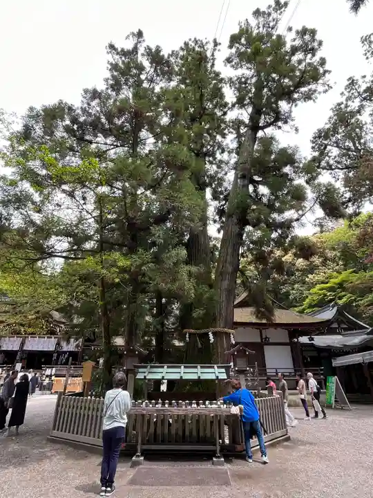 大神神社(奈良県)