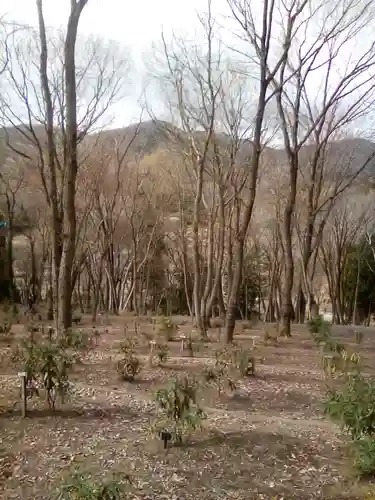 常陸国出雲大社のお墓