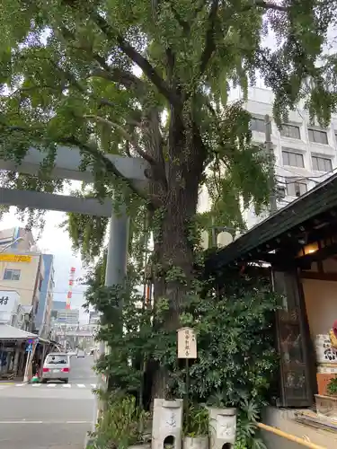 波除神社（波除稲荷神社）のその他建物