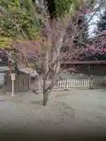 和泉國一之宮 大鳥大社(大阪府)