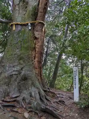 白山比咩神社(石川県)