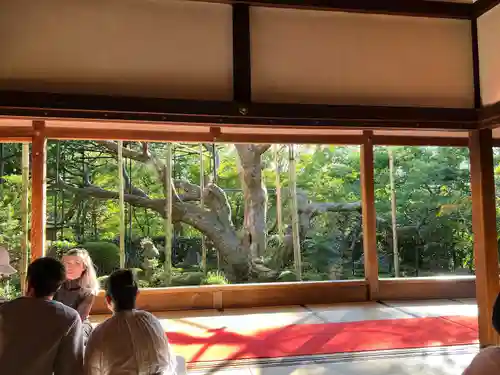 宝泉院(京都府)