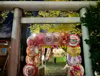 札幌諏訪神社の七五三参