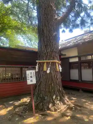 前原御嶽神社(千葉県)