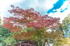 賀茂神社(宮城県)