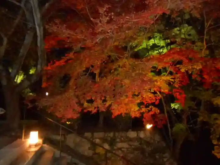 園城寺(三井寺)(滋賀県)