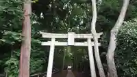 喜多見氷川神社の鳥居