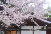 阿佐ヶ谷神明宮(東京都)