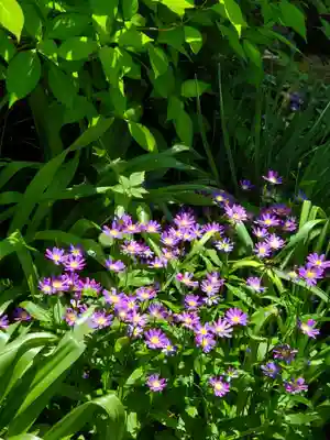 長命寺(福島県)