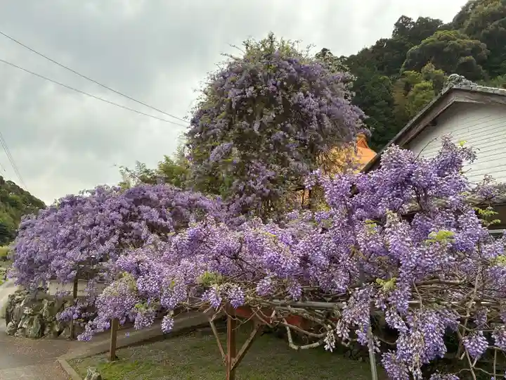 神光寺(徳島県)