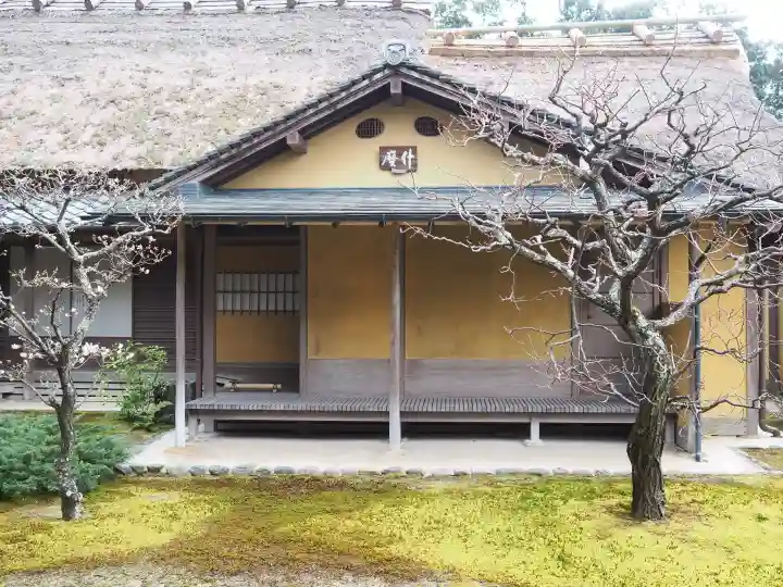 慈光院の{uncategorized: "未分類", other: "その他", undefined: "問題あり", building: "その他建物", grave: "お墓", sacred_gate: "鳥居", guardian: "狛犬", statue: "像", buddha: "仏像", history: "歴史", nature: "自然", garden: "庭園", animal: "動物", pagoda: "塔", temizu: "手水舎", mountain_gate: "山門・神門", sanctuary: "本殿・本堂", subordinate: "末社・摂社", art: "芸術", scenery: "景色", jizo: "地蔵", ema: "絵馬", goshuin: "御朱印", omikuji: "おみくじ", items: "授与品その他", amulet: "お守り", goshuincho: "御朱印帳", eats: "食事", festival: "お祭り", votive_dance: "神楽", shichigosan: "七五三参", wedding: "結婚式", experience: "体験その他", initially: "初詣", around: "周辺", anti_infection: "感染症対策"}