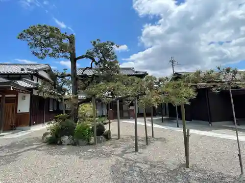 唯称寺(滋賀県)