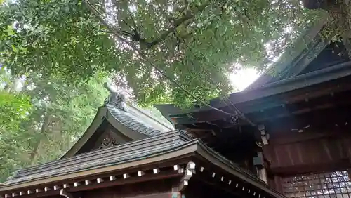 本土神社の本殿・本堂