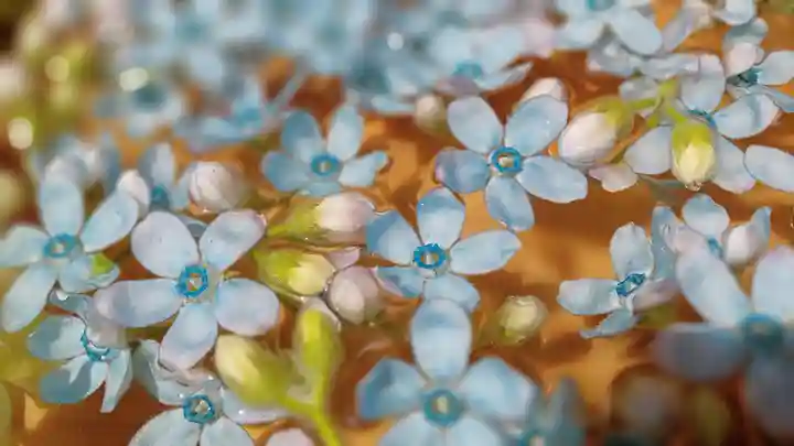 阿邪訶根神社の手水舎