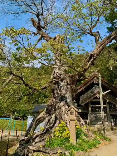 神魂伊能知奴志神社(島根県)