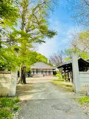 教王寺(群馬県)