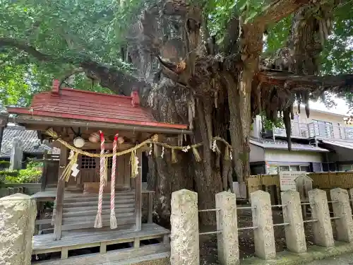 宮城野八幡神社(宮城県)