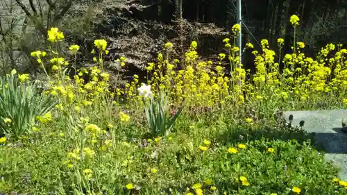 熊野神社の自然