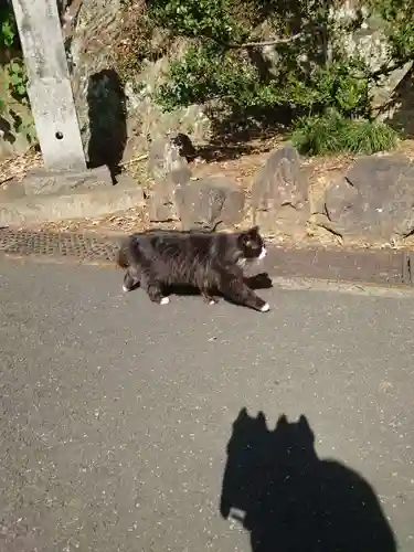 唐澤山神社(栃木県)