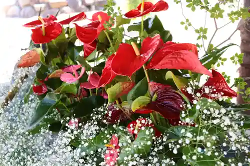 三津厳島神社(愛媛県)