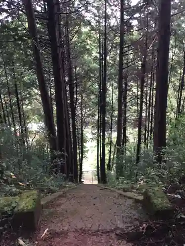 近津神社の景色