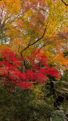 長楽寺(京都府)