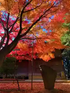 滑川神社 - 仕事と子どもの守り神(福島県)(2025年11月21日(金) 12時54分14秒投稿)