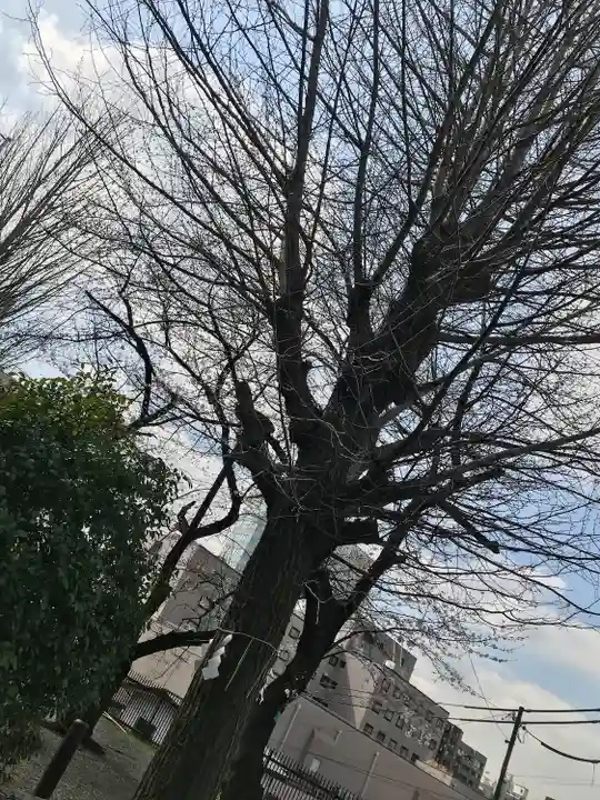 市谷亀岡八幡宮(東京都)
