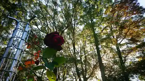 尾張大國霊神社（国府宮）の周辺